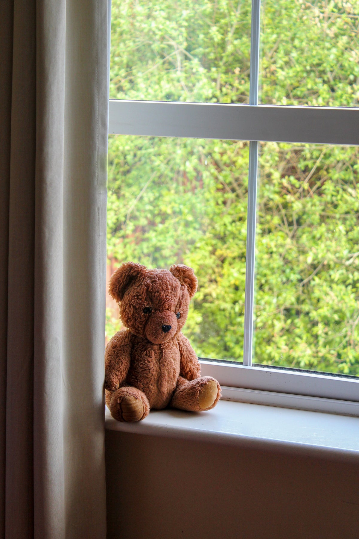Brown teddy bear plushie sitting on a windowsill overlooking green foliage and trees